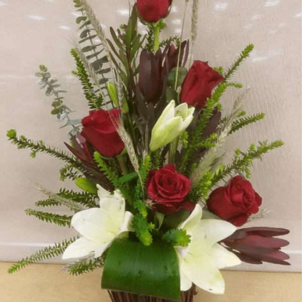 Red and White Beauty