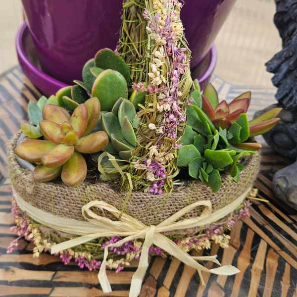 Wild Prairie Succulent Garden