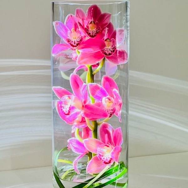 Pink orchids arranged in a tall clear glass vase