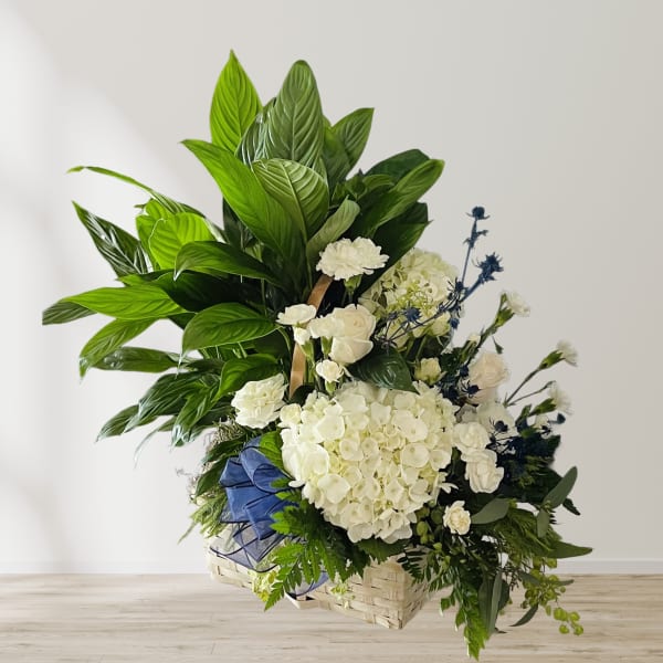 Large white floral arrangement with green foliage in a woven basket