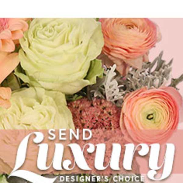 Pastel bouquet with ranunculus and roses on a pink background