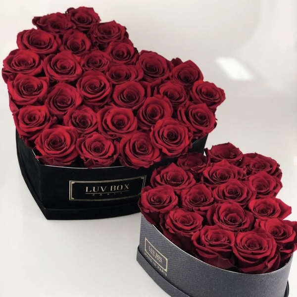 Two heart-shaped boxes filled with red roses