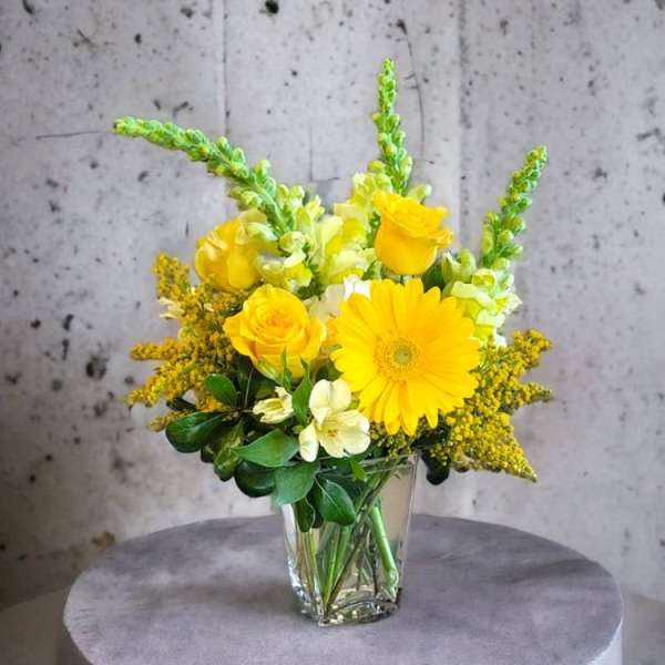 Kiss of the Sun for Mom