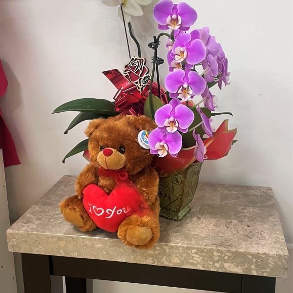 Potted orchids with a teddy bear holding a red heart