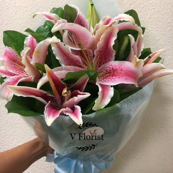 Wrapped bouquet of large pink and white lilies with foliage, tied with a blue ribbon