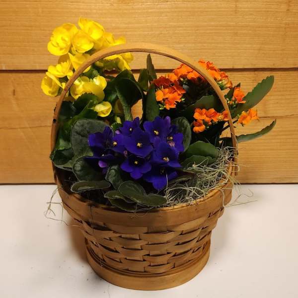 Basket of colorful potted flowers with a curved handle