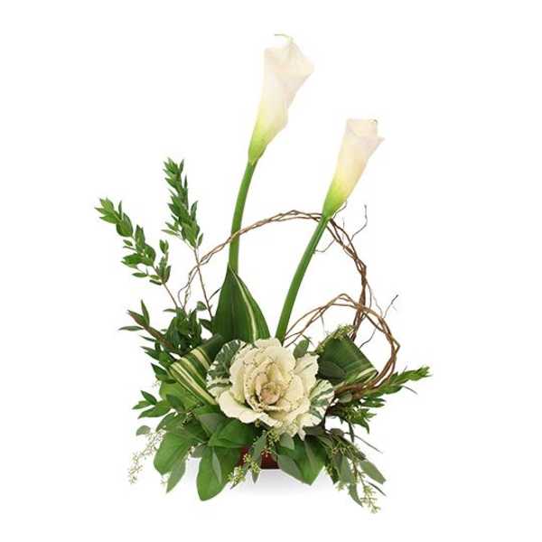 Delightful ff0151-1a-s