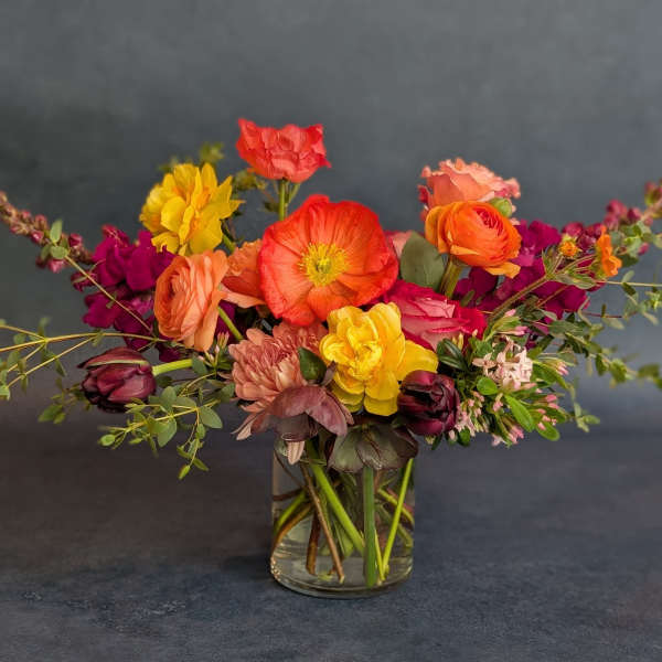 Designer's Choice - Bright & Bold