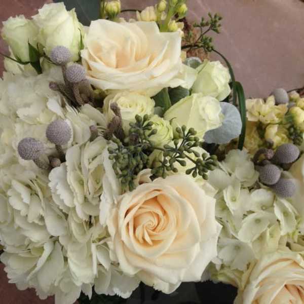 Cream roses and white hydrangeas in a bouquet with small lavender accents