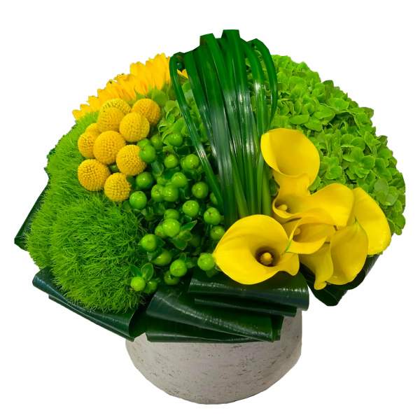 Yellow calla lilies and green flowers in a round vase