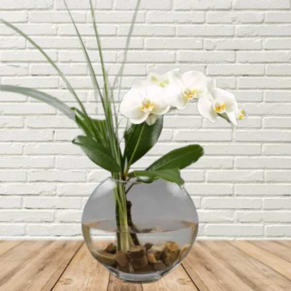 White orchid stems in a round glass vase with stones