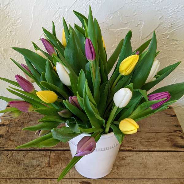 Bouquet of multicolored tulips in a white pot