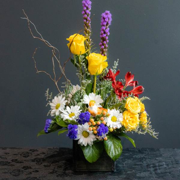 Lil Bird's Sweet Melody