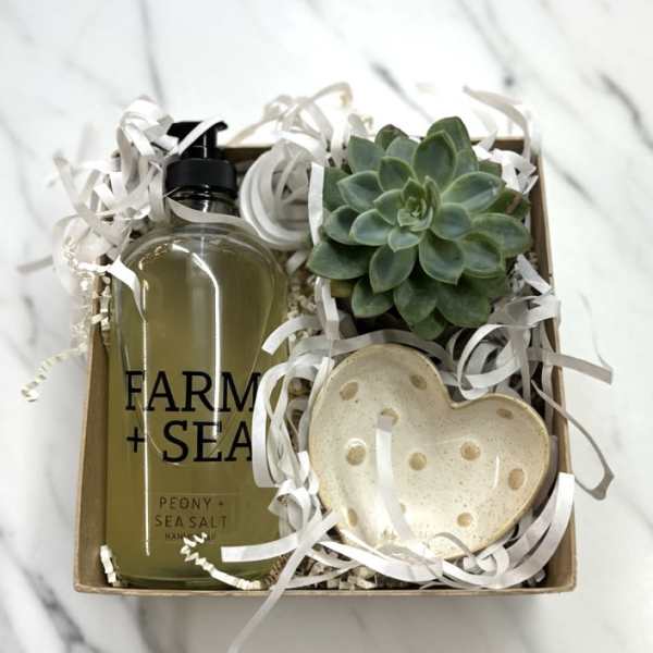 Bubble Box with Farm + Sea