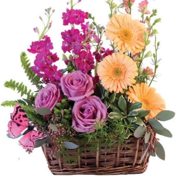 Basket arrangement with purple roses, peach gerbera daisies, pink flower spikes, and a decorative pink butterfly.