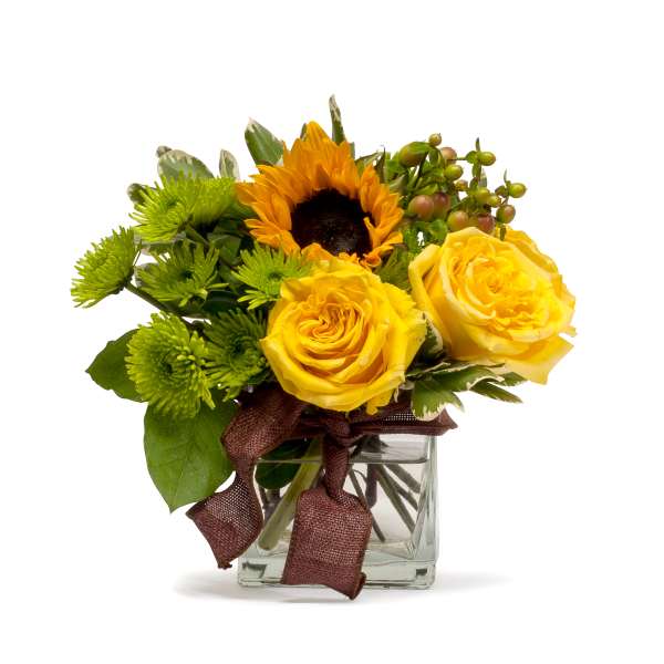 Yellow roses and a sunflower in a glass cube vase with a brown ribbon