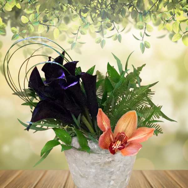 Tropical floral arrangement in a frosted glass vase with dark calla lilies and an orange orchid