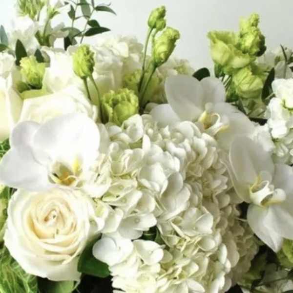 White roses, hydrangeas, and orchids with green accents in a bouquet