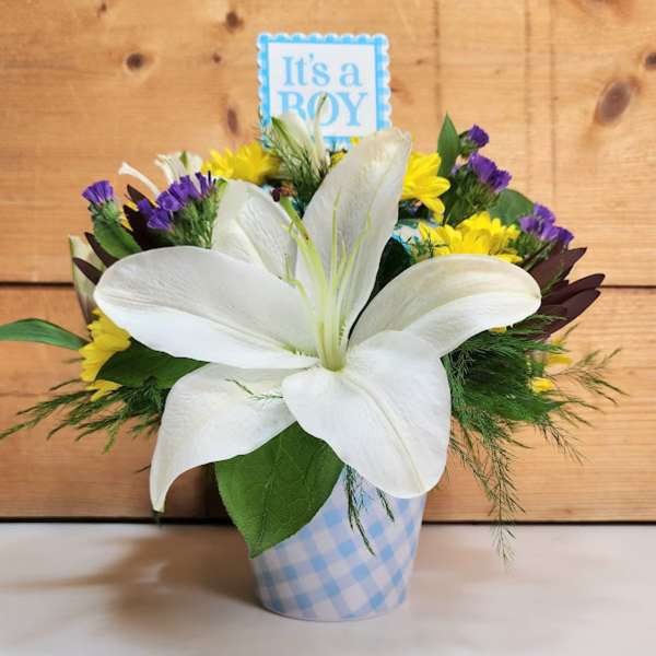 White lily bouquet in a blue checkered container with an "It's a Boy" sign