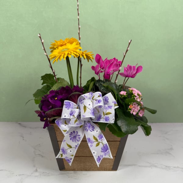 Flower Patch Paradise Dish Garden