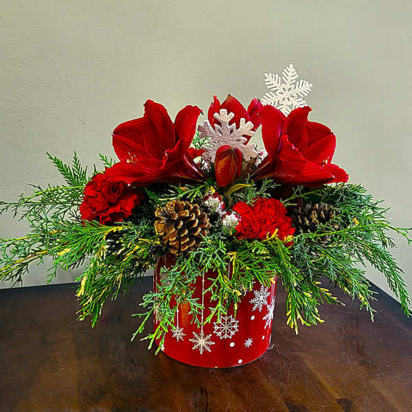 Low red holiday arrangement with red amaryllis, red carnations, evergreens, and pine cones in a snowflake container.