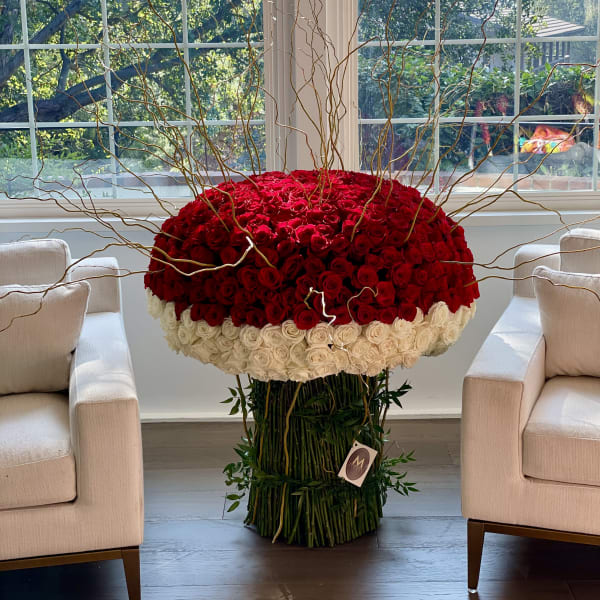 Large red and white rose arrangement with tall curly branches