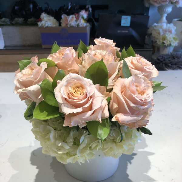 Peach roses arranged in a white vase with white hydrangeas