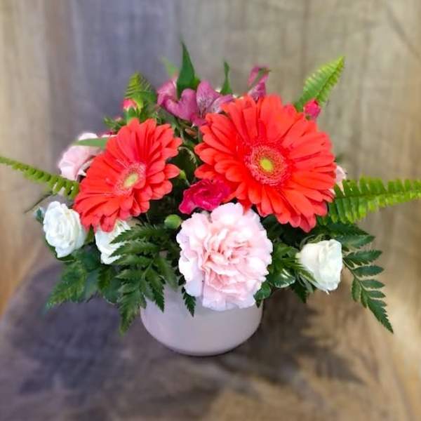 Gerbera Sherberta - Flower A Day