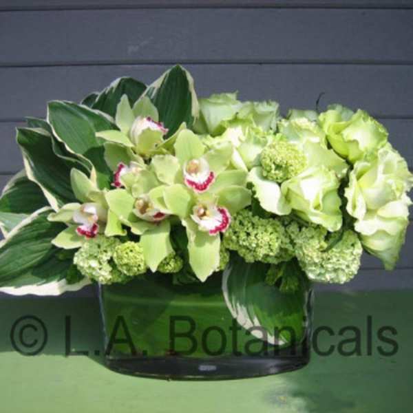 Green orchid and hydrangea arrangement in a glass vase