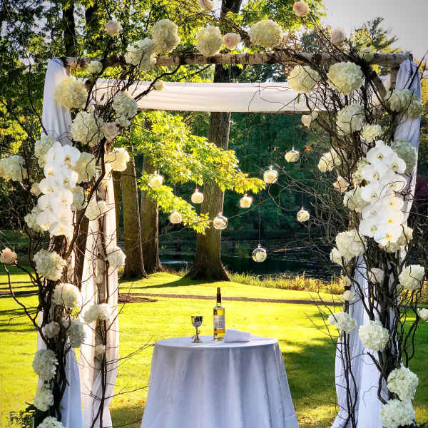 Birch Chuppah Artistically Arranged