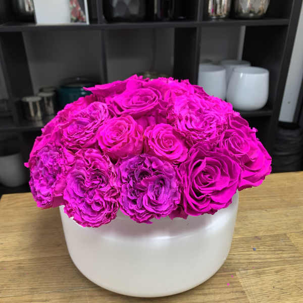 Hot pink roses arranged in a white round vase