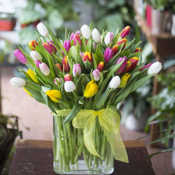 Bouquet of multicolored tulips in a clear glass vase with a yellow ribbon