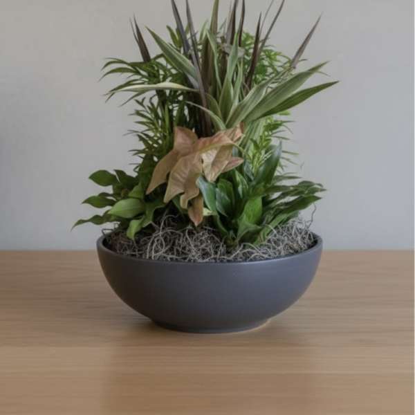 8” Signature Dish Garden