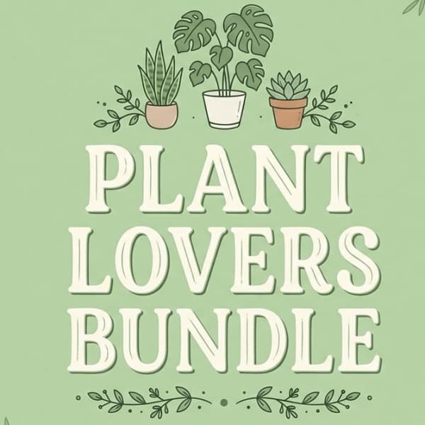 Plant Lovers Bundle (Exotic Plant, Macarons, Candle)