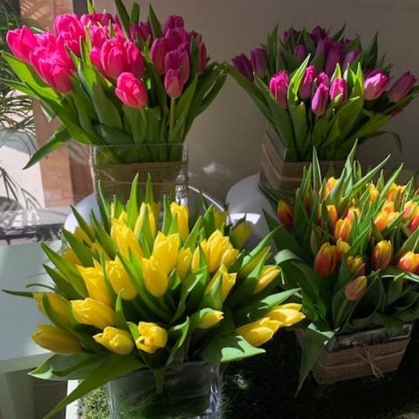 Bouquets of pink and yellow tulips in clear containers