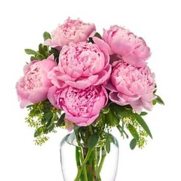 Peonies in Pink Bouquet
