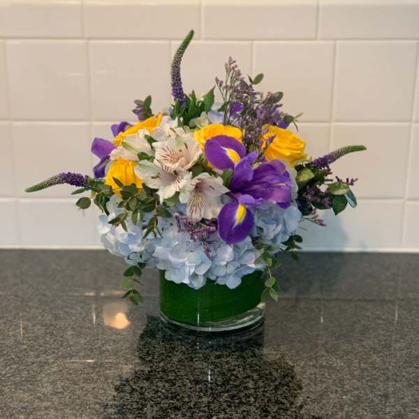 Spring Is In The Air