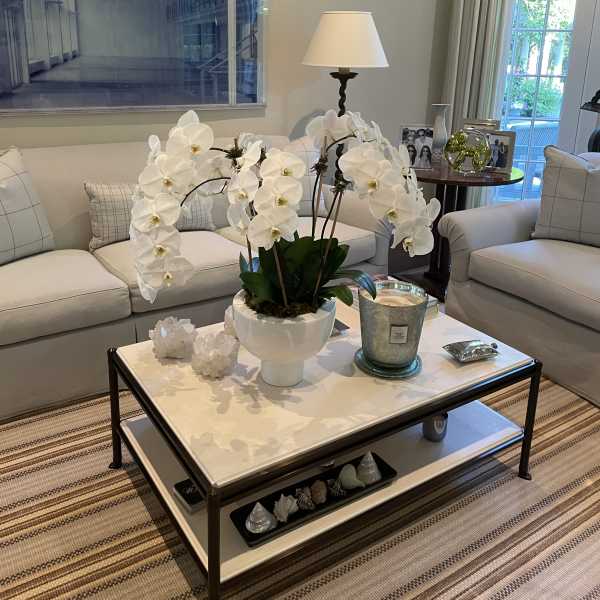 White orchid arrangement in a white pot on a coffee table