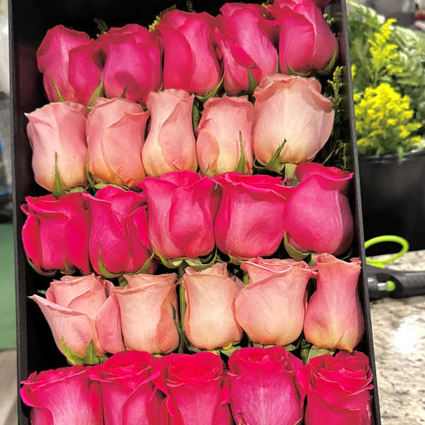 Box of pink and peach roses arranged in rows