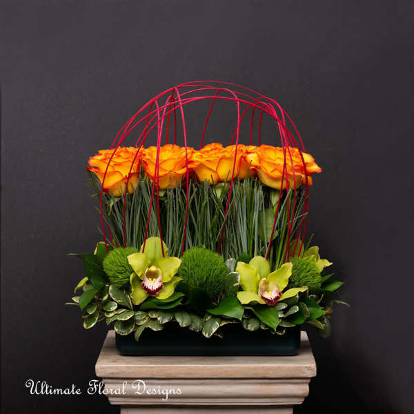 Orange roses in a rectangular arrangement with green orchids and red wire arches