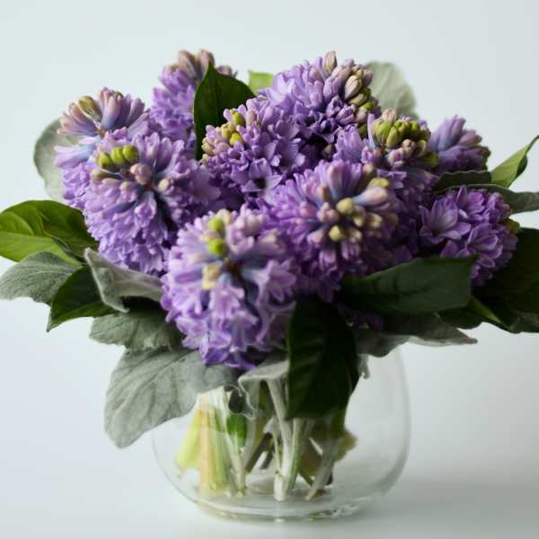 Purple flowers arranged in a clear glass vase