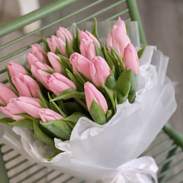Bouquet of pink tulips wrapped in white paper with a ribbon