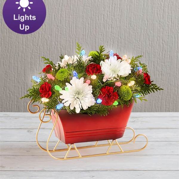 Red sleigh planter with white and red flowers and lights