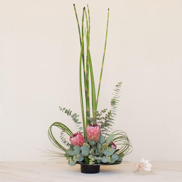 Tall modern arrangement with pink protea and vertical green reeds in a low black bowl