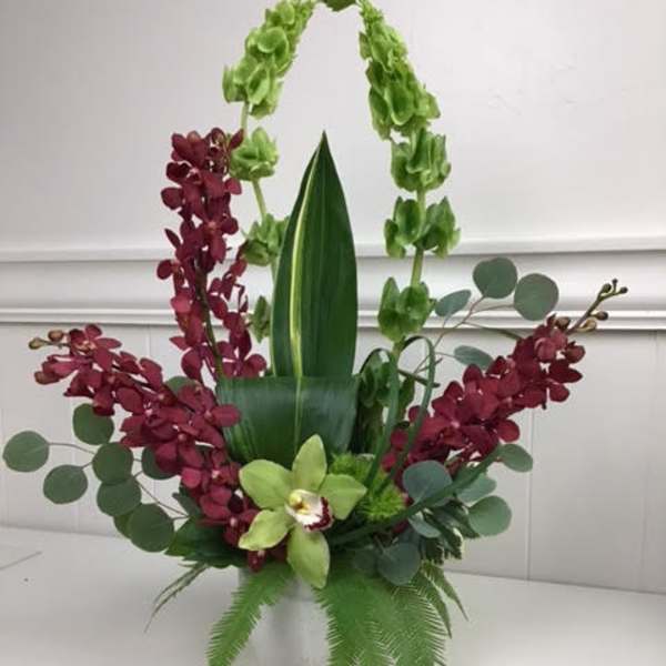 Orchid arrangement in a white vase with green and burgundy blooms