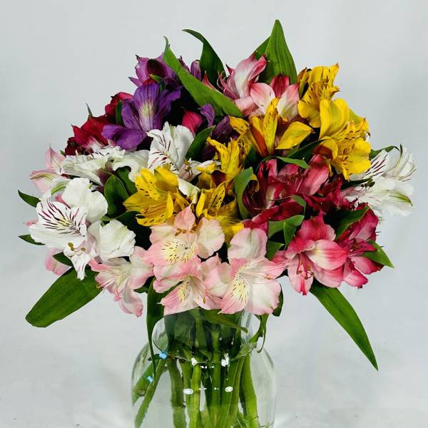 Mixed bouquet of colorful alstroemeria in a clear glass vase