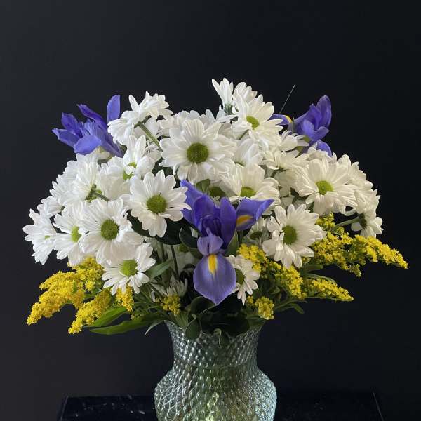 For the Love of Daisies