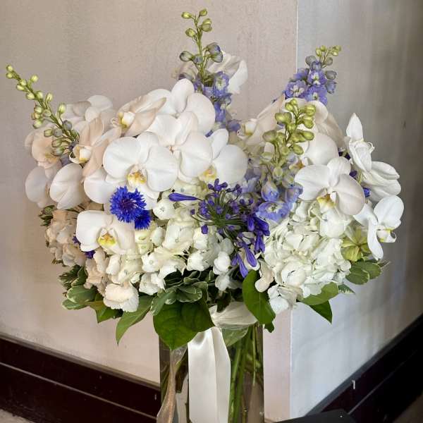 White orchids and blue flowers arranged in a tall glass vase with ribbon