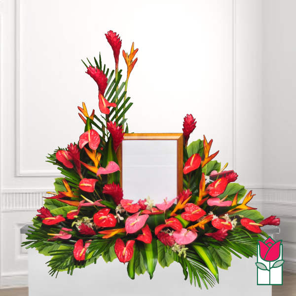 Tropical floral arrangement with red anthuriums and orange bird-of-paradise around a frame