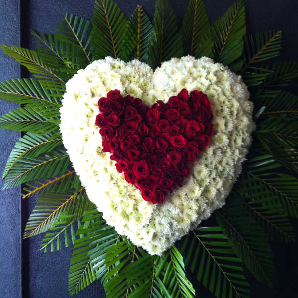 Heart shape red Roses within heart shape white mums surrounded by a fan of palm leaves - F30013